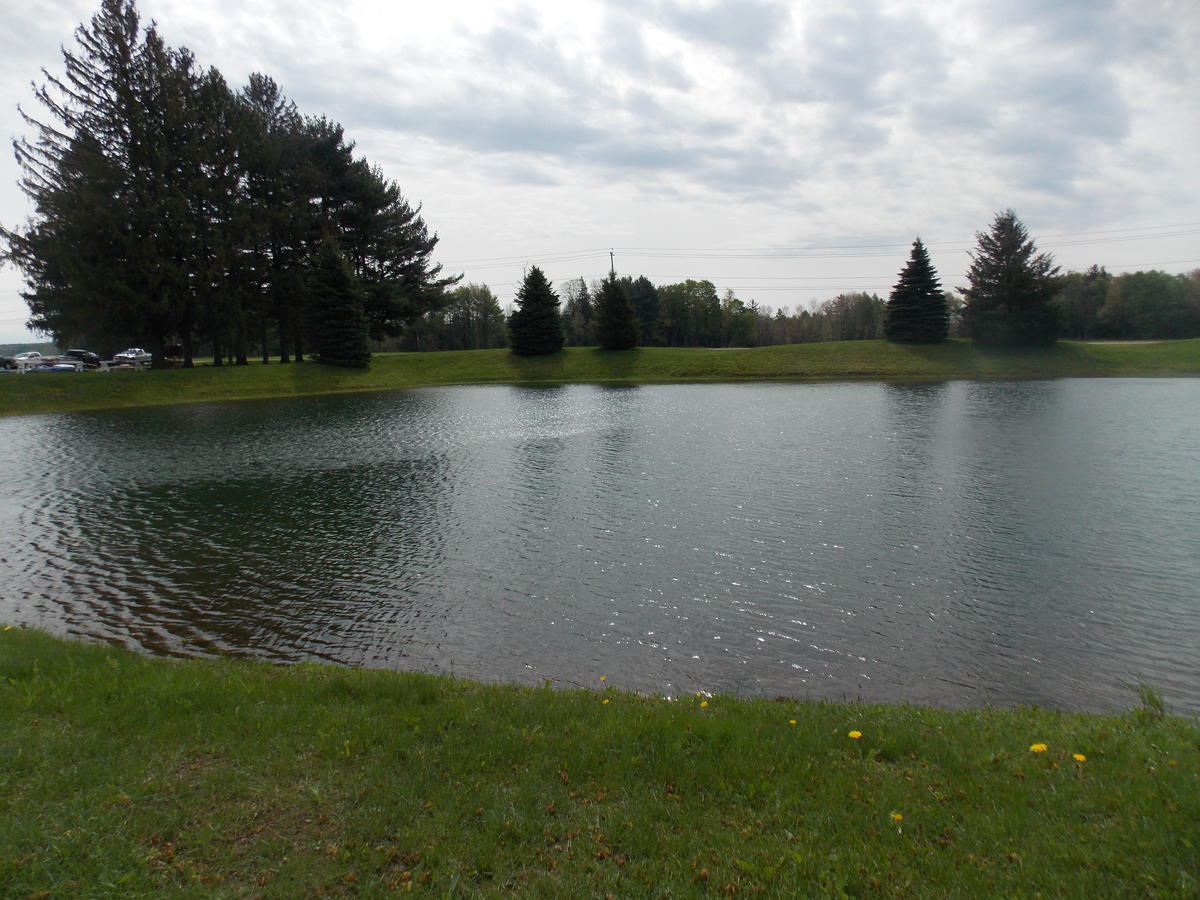 Fairway Suites At The Peak French Creek Buitenkant foto