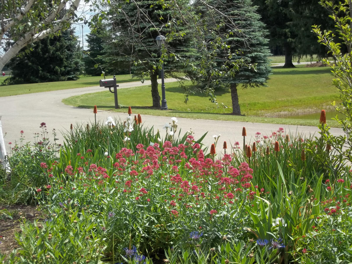 Fairway Suites At The Peak French Creek Buitenkant foto