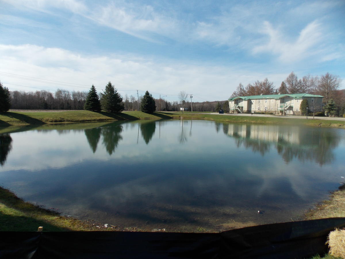 Fairway Suites At The Peak French Creek Buitenkant foto